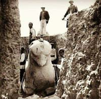 بیرون آوردن شیردال از دل خاک تخت جمشید؛ ۱۳۱۰ خورشیدی!